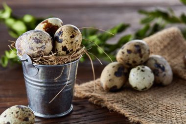 Bıldırcın yumurtası keten peçete ve Şimşir dal, seçici odak demet bahar bileşimi