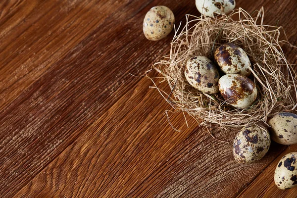 Bodegón conceptual con huevos de codorniz en nido de heno sobre fondo de madera oscura, enfoque selectivo — Foto de Stock