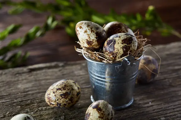 Küçük dekoratif kova dolu Bıldırcın yumurta koyu ahşap masa, yakın çekim, seçici odak ile. — Stok fotoğraf