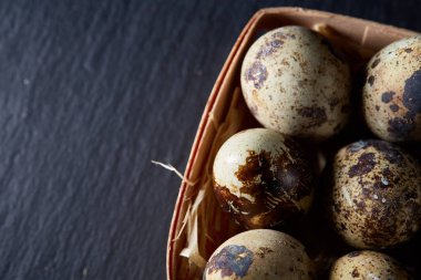 Bıldırcın yumurtası içinde bir koyu siyah arka plan, üstten görünüm, seçici odak, arkadan bir sille.