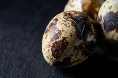 Bazı Bıldırcın yumurta bir koyu arka plan, üstten görünüm, yakın çekim, seçici odak grup, uzay kopyalayın, aydınlatma.