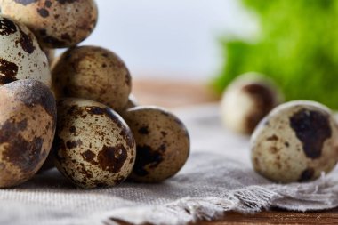 Piramit peçeteye düzenlenen bir ahşap masa, yakın çekim, seçici odak üzerinde bıldırcın yumurtası.