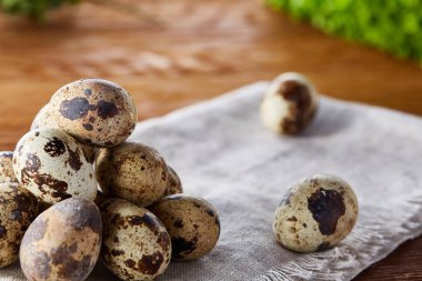 Piramit peçeteye düzenlenen bir ahşap masa, yakın çekim, seçici odak üzerinde bıldırcın yumurtası.