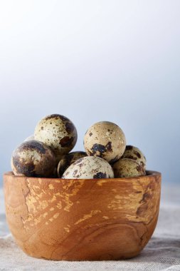 Yumurtalar bıldırcın, gri arka plan, yakın çekim, seçici odak saf bir peçeteye üzerinde yumurta ile kase