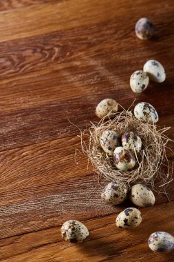 Seçici odak, yakın, kavramsal natürmort bıldırcın ile saman yuvada koyu ahşap arka plan üzerinde yumurta.
