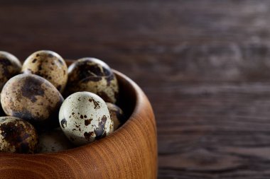 Bir koyu ahşap arka plan, üstten görünüm, yakın çekim bir ahşap kase taze bıldırcın yumurtası