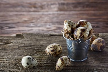 Küçük dekoratif kova dolu Bıldırcın yumurta koyu ahşap masa, yakın çekim, seçici odak ile.