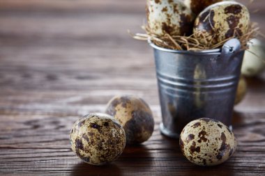 Küçük dekoratif kova dolu Bıldırcın yumurta koyu ahşap masa, yakın çekim, seçici odak ile.