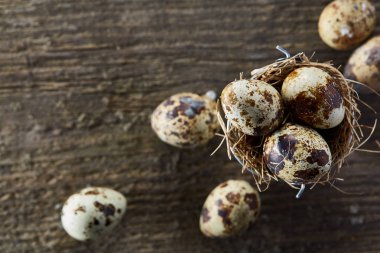 Piramit peçeteye Şimşir dalları ile düzenlenmiş bir ahşap masa, yakın çekim, seçici odak üzerinde bıldırcın yumurtası.