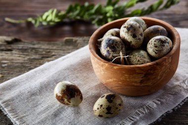 Bıldırcın yumurta, yumurta saf peçeteye, Şimşir ahşap arka plan, yakın çekim, seçici odak ile kase