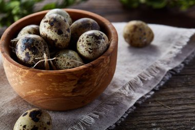 Bıldırcın yumurta, yumurta saf peçeteye, Şimşir ahşap arka plan, yakın çekim, seçici odak ile kase