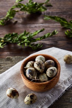 Bıldırcın yumurta, yumurta saf peçeteye, Şimşir ahşap arka plan, yakın çekim, seçici odak ile kase