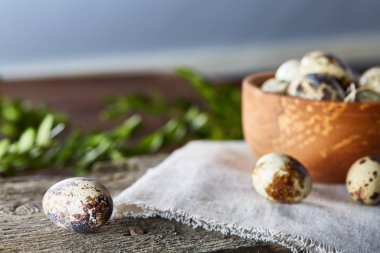 Bıldırcın yumurta, yumurta saf peçeteye, Şimşir ahşap arka plan, yakın çekim, seçici odak ile kase