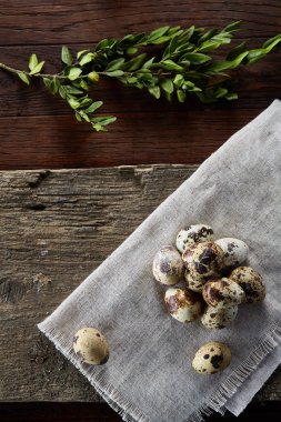 Piramit peçeteye Şimşir dalları ile düzenlenmiş bir ahşap masa, yakın çekim, seçici odak üzerinde bıldırcın yumurtası.