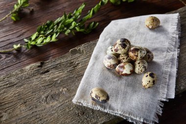 Piramit peçeteye Şimşir dalları ile düzenlenmiş bir ahşap masa, yakın çekim, seçici odak üzerinde bıldırcın yumurtası.