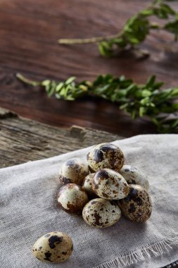 Piramit peçeteye Şimşir dalları ile düzenlenmiş bir ahşap masa, yakın çekim, seçici odak üzerinde bıldırcın yumurtası.