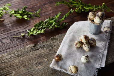 Bıldırcın yumurtası keten peçete ve Şimşir dal, seçici odak demet bahar bileşimi