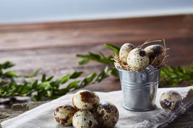 Bıldırcın yumurtası keten peçete ve Şimşir dal, seçici odak demet bahar bileşimi