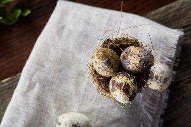 Piramit peçeteye Şimşir dalları ile düzenlenmiş bir ahşap masa, yakın çekim, seçici odak üzerinde bıldırcın yumurtası.