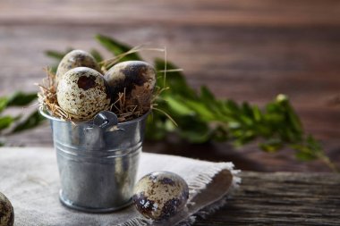 Bıldırcın yumurtası keten peçete ve Şimşir dal, seçici odak demet bahar bileşimi
