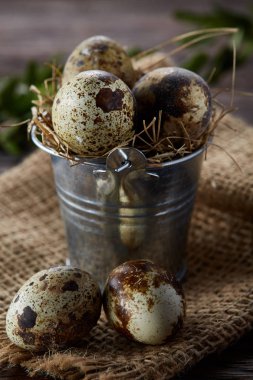 Bıldırcın yumurtası keten peçete ve Şimşir dal, seçici odak demet bahar bileşimi
