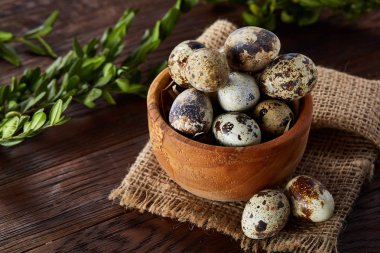 Bıldırcın yumurta, yumurta saf peçeteye, Şimşir ahşap arka plan, yakın çekim, seçici odak ile kase