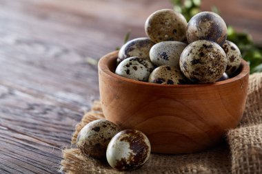 Bıldırcın yumurta, yumurta saf peçeteye, Şimşir ahşap arka plan, yakın çekim, seçici odak ile kase