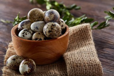 Bıldırcın yumurta, yumurta saf peçeteye, Şimşir ahşap arka plan, yakın çekim, seçici odak ile kase