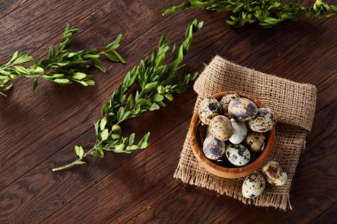 Bıldırcın yumurta, yumurta saf peçeteye, Şimşir ahşap arka plan, yakın çekim, seçici odak ile kase