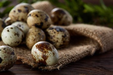 Piramit peçeteye Şimşir dalları ile düzenlenmiş bir ahşap masa, yakın çekim, seçici odak üzerinde bıldırcın yumurtası.