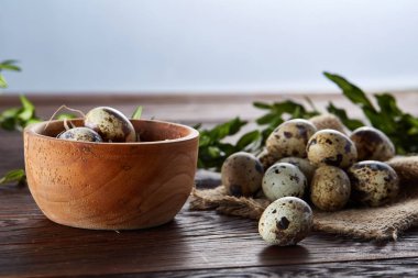 Bıldırcın yumurta, yumurta saf peçeteye, Şimşir ahşap arka plan, yakın çekim, seçici odak ile kase