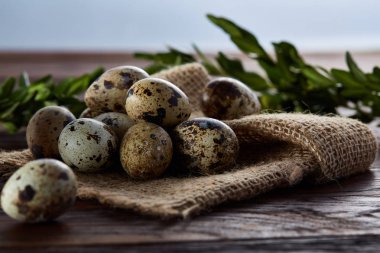 Piramit peçeteye Şimşir dalları ile düzenlenmiş bir ahşap masa, yakın çekim, seçici odak üzerinde bıldırcın yumurtası.