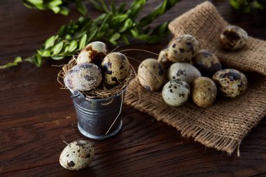 Bıldırcın yumurtası keten peçete ve Şimşir dal, seçici odak demet bahar bileşimi