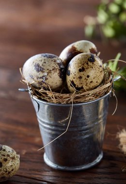 Bıldırcın yumurtası keten peçete ve Şimşir dal, seçici odak demet bahar bileşimi