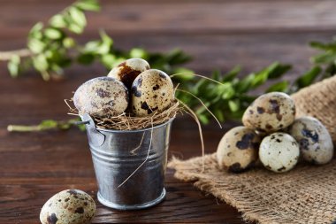 Bıldırcın yumurtası keten peçete ve Şimşir dal, seçici odak demet bahar bileşimi
