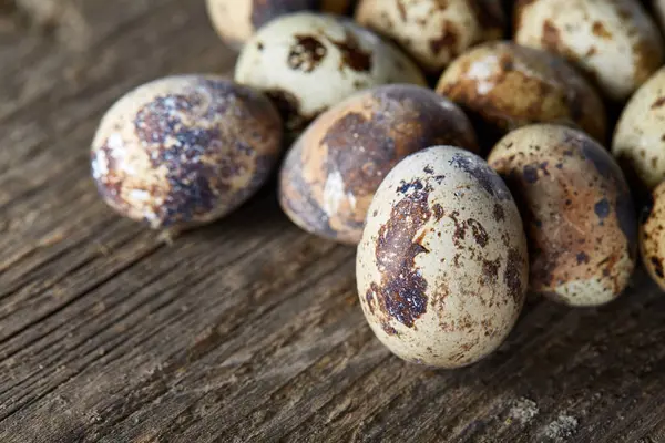 Huevos de codorniz moteados dispuestos sobre el fondo de viejas tablas de madera, con espacio de copia, enfoque selectivo . — Foto de Stock