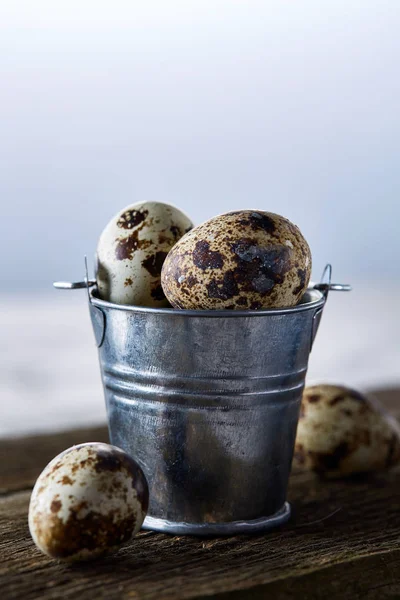 Küçük dekoratif kova bıldırcın yumurtası ahşap tahta üzerinde dolu beyaz arka plan, yakın çekim, seçici odak üzerinde.