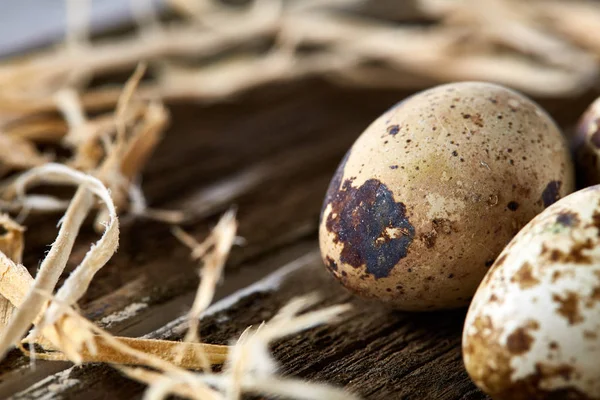Nature morte conceptuelle avec œufs de caille dans le nid de foin sur fond de bois sombre, gros plan, mise au point sélective — Photo