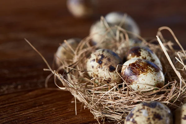 Концептуальный натюрморт с перепелиными яйцами в сенном гнезде на темном деревянном фоне, крупным планом, выборочным фокусом — стоковое фото