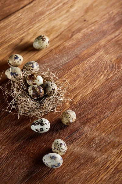 Bodegón conceptual con huevos de codorniz en nido de heno sobre fondo de madera oscura, enfoque selectivo — Foto de Stock