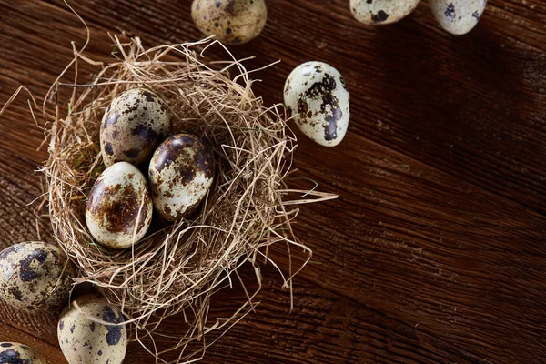 Bodegón conceptual con huevos de codorniz en nido de heno sobre fondo de madera oscura, enfoque selectivo — Foto de Stock