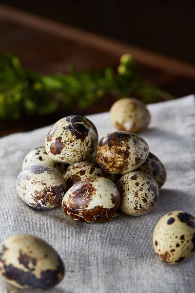 Quail eggs arranged in pyramid on a napkin with boxwood branches over a wooden table, close-up, selective focus. — Stock Photo, Image