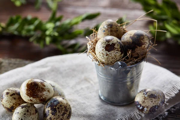 Bıldırcın yumurtası keten peçete ve Şimşir dal, seçici odak demet bahar bileşimi