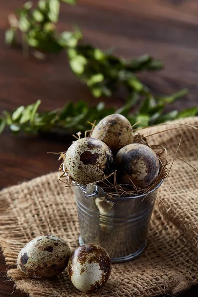 Bıldırcın yumurtası keten peçete ve Şimşir dal, seçici odak demet bahar bileşimi