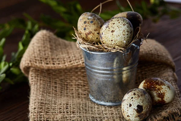 Bıldırcın yumurtası keten peçete ve Şimşir dal, seçici odak demet bahar bileşimi