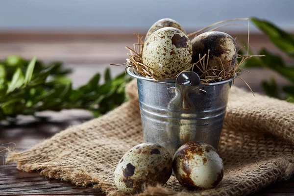 Composition printanière des œufs de caille dans un seau sur une serviette de lin et une branche de buis, mise au point sélective — Photo