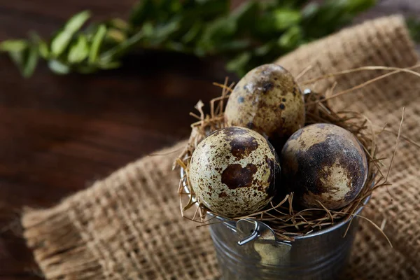 Bıldırcın yumurtası keten peçete ve Şimşir dal, seçici odak demet bahar bileşimi