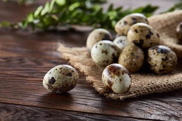 Piramit peçeteye Şimşir dalları ile düzenlenmiş bir ahşap masa, yakın çekim, seçici odak üzerinde bıldırcın yumurtası.