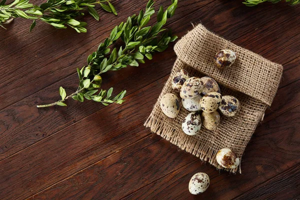 Piramit peçeteye Şimşir dalları ile düzenlenmiş bir ahşap masa, yakın çekim, seçici odak üzerinde bıldırcın yumurtası.