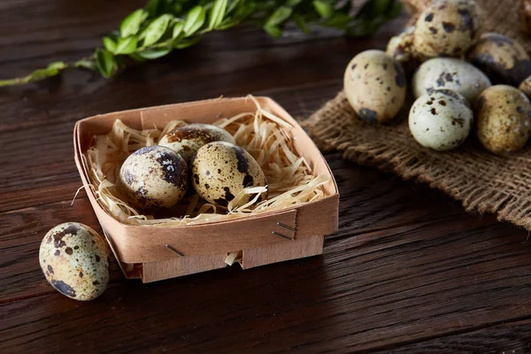 Composition of eggs quail box, eggs on a homespun napkin, boxwood on wooden background, top view — Stock Photo, Image